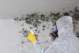 Best Mold Remediation for Healthcare Facilities in Washington, UT